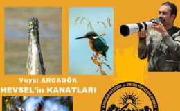 Adıyaman’da ‘Hevsel’in Kanatları’ fotoğraf sunumu sanatseverlerle buluşacak